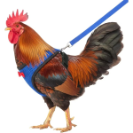 1788316360759.png