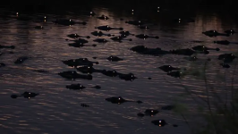 1788436640248.png 1788436640248.png