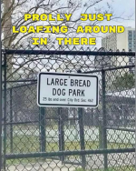 1788442852852.png