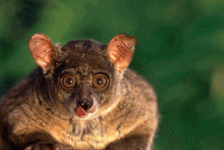 r8htn7gh3.gif r8htn7gh3.gif