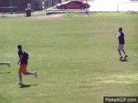 4136.gif