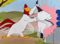 1788483909039.gif