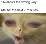 1000043709.jpg