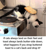1788493313601.png