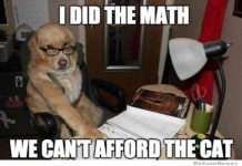 1788532425346.png