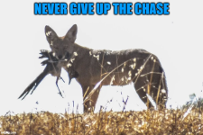 1788565341473.png