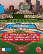 Wrigley.jpeg Wrigley.jpeg