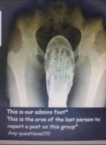 1000043741.jpg