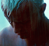 tumblr_1e9e6de6ce678873e845e2401d82b420_ad5d5e5b_540.gif