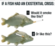 1788734257209.png