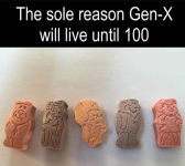 1788800268682.png