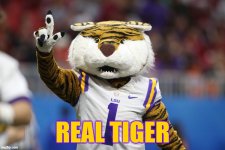 lsu.jpg