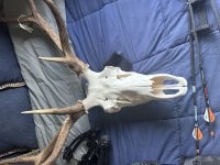 IMG_8933.jpeg