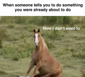 1788891757943.png