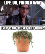 1788892259118.png