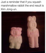 1788925566714.png