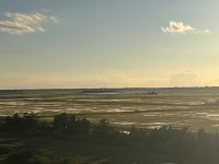 IMG_5311.jpeg
