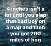 IMG_1687.jpeg