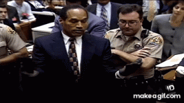 IMG_5517.gif