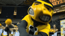 IMG_1251.gif