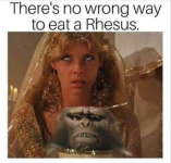 1789180433300.png