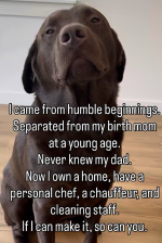 1789180514778.png
