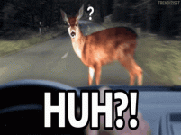 IMG_20260911_234223.gif