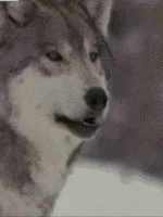 1789188384779.png 1789188384779.png