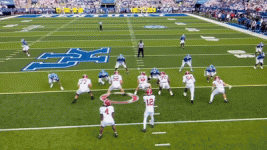 IMG_0372.gif