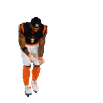 1789322844892.gif