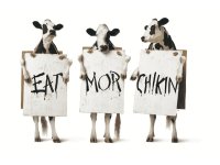 Cows+image+resized_11zon-928091944.jpg