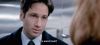 1789350065162.gif