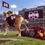 msu vs sc.jpg