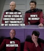 IMG_3507.jpeg