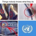 1000044003.jpg