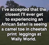 1789611683044.png