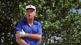IMG_7579.gif