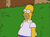 1000044031.gif 1000044031.gif