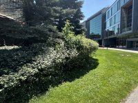 IMG_4502.jpeg