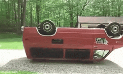 9189.gif