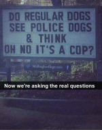 1789848508742.png
