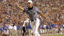 ref WDE.jpg