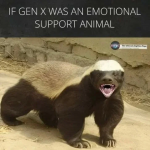 1789932804056.png