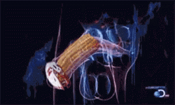 1790093396857.gif