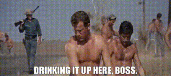 1790138246396.gif