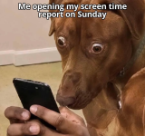 1790172701196.png