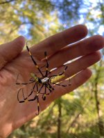 IMG_9690.jpeg