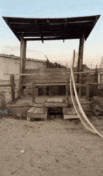 1790202911165.gif