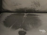 IMG_6203.jpeg