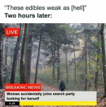 1790221102873.png